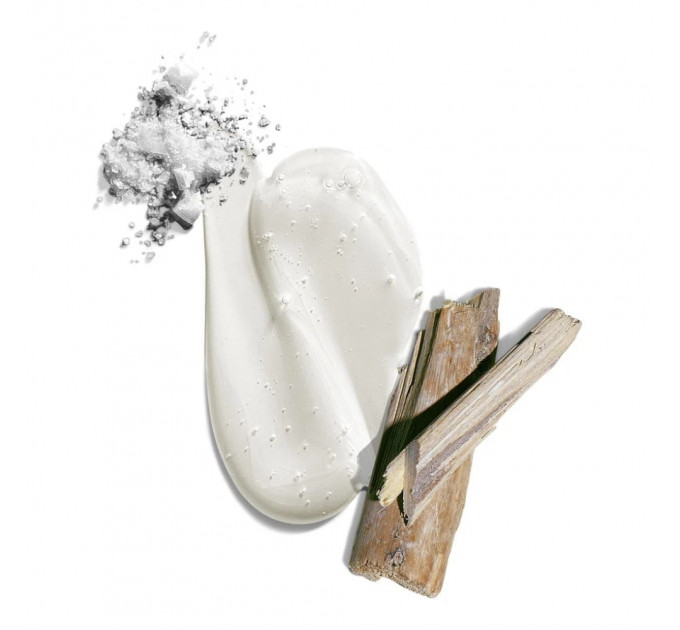 Гель для душу та шампунь 2-в-1 Jack Black Big Sir Big Sir Marine Accord Amber 295 мл