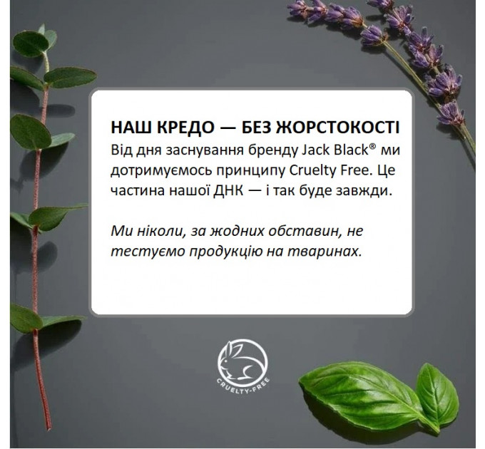 Чоловічий лосьйон для тіла Jack Black Big Sir 88 мл