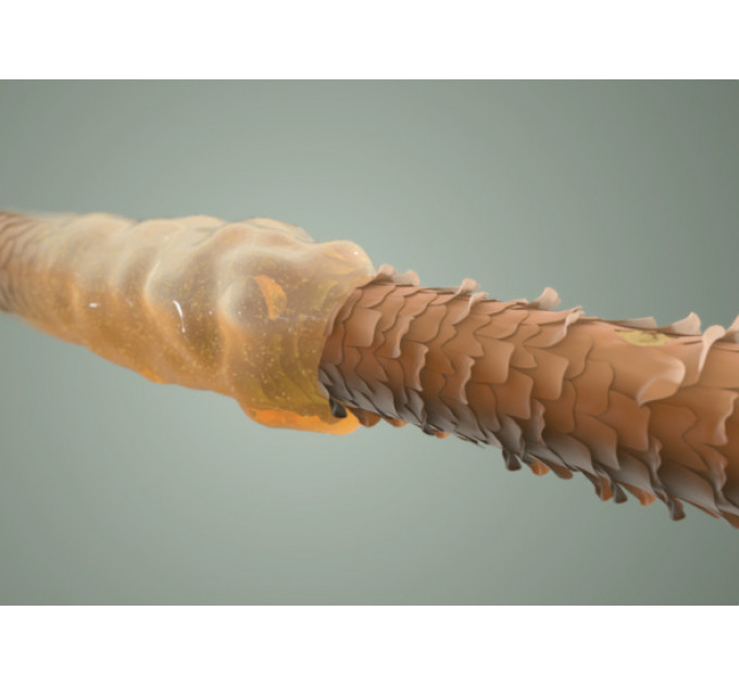 Професійна олія для відновлення структури волосся Virtue Healing Oil 50 мл