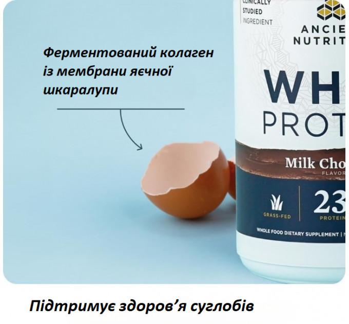 Сироватковий протеїн з пептидами колагену Ancient Nutrition Grass Fed Whey Milk Chocolate 592 г