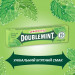 Набір м'ятної жувальної гумки Wrigley's Doublemint 20 пачок 100 шт