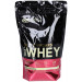 Протеїн сироватковий ізолят Optimum Nutrition 100% Whey Gold Standard зі смаком ванільного морозива 450 г