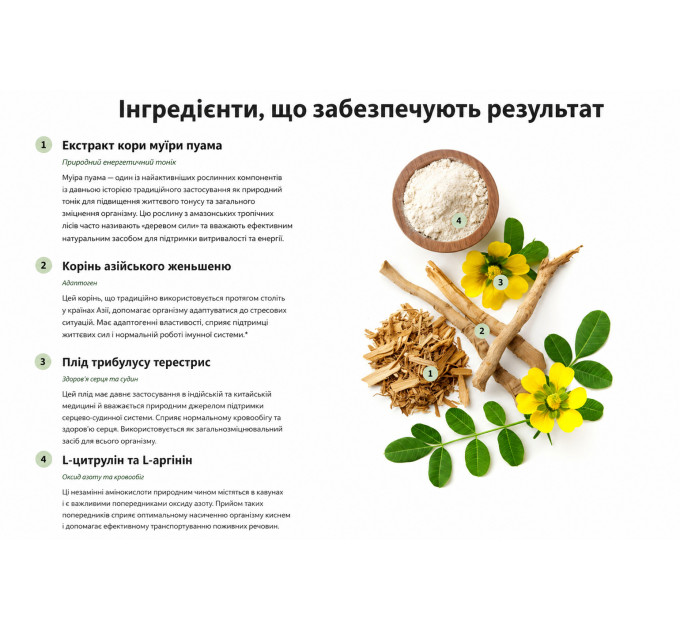 Предтренировочный комплекс аминокислот бустер оксида азота SNAP Nitric Oxide Booster дозировка 1500 мг 60 вегетарианских капсул