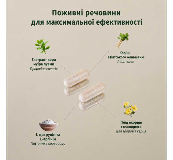 Предтренировочный комплекс аминокислот бустер оксида азота SNAP Nitric Oxide Booster дозировка 1500 мг 60 вегетарианских капсул