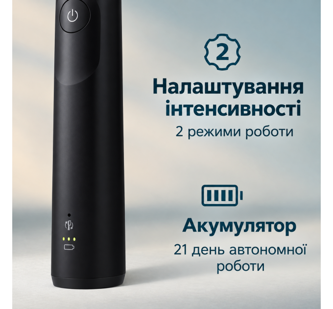 Акумуляторна звукова зубна щітка Philips Sonicare Series 5300 HX7101/01 чорна з насадкою та зарядною станцією