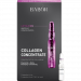 Омолоджуюча сироватка для обличчя Babor AMPOULE SERUM CONCENTRATES LIFT & FIRM Collagen Concentrate 7х2 мл