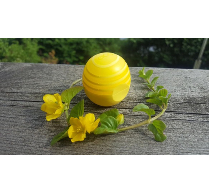 Бальзам для губ солнцезащитный EOS Lemon twist with spf 15 Лимон (7 г)