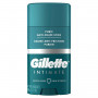 Мужской стик против натирания в интимной зоне Gillette Intimate (48 гр)