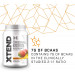 Комплекс амінокислот Scivation XTEND 7g BCAA Mango Madness 90 порцій зі смаком манго (1,26 кг)