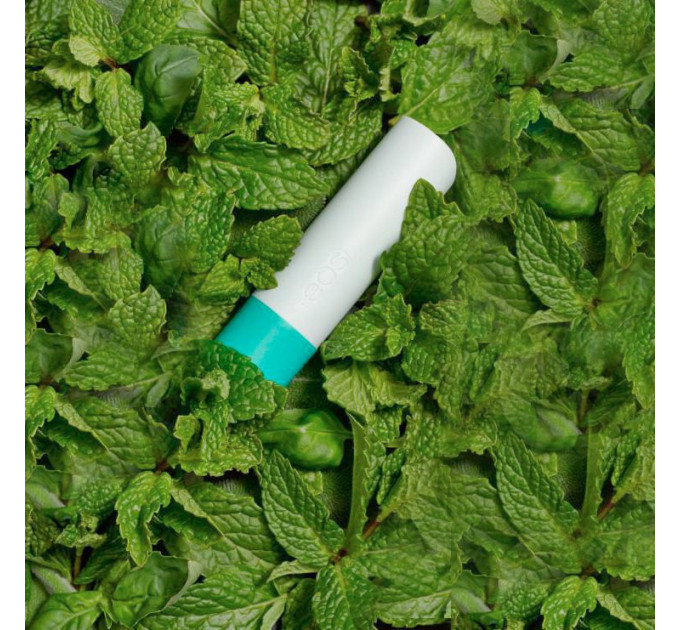 Бальзам для губ у стику EOS Lip Balm Garden Mint flavor Садова м'ята (4 г)