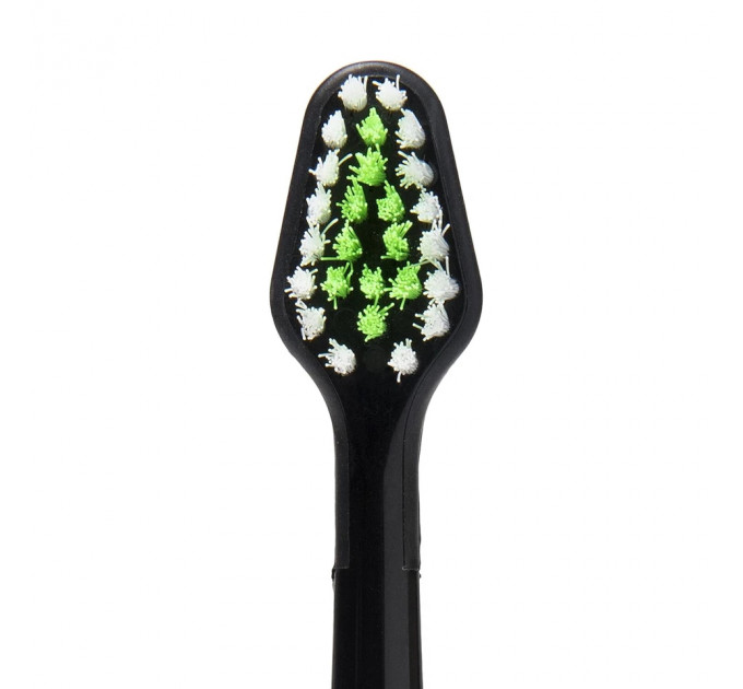 Насадка для зубної щітки Waterpik Triple Sonic STRB-3WB чорна 