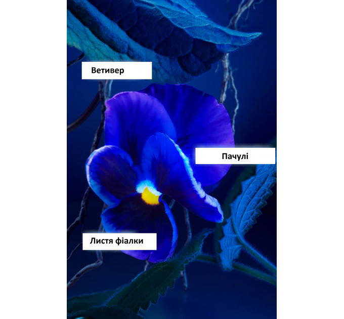 Мужская туалетная вода BOSS Bottled Triumph Elixir 50 мл