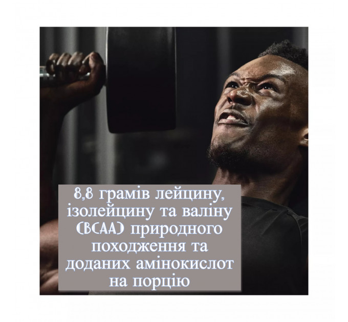 Протеїнова суміш Optimum Nutrition Platinum Hydro Whey з ванільним смаком 1.6 кг 