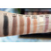 Мини палитра теней для век Anastasia Beverly Hills Soft Glam II Mini Eyeshadow Palette 6.4 г